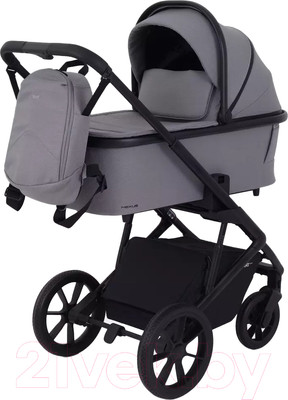 Детская универсальная коляска Rant Basic Nexus 2 в 1 / RA106 (облако/серый)