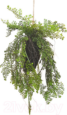 Искусственное растение MONAMI Кокедама TM-80