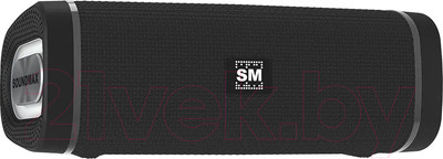 Портативная колонка SoundMax SM-PS5019B (черный)
