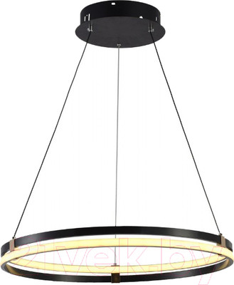 Потолочный светильник Aitin-Pro D18114/1 (черный/золото)