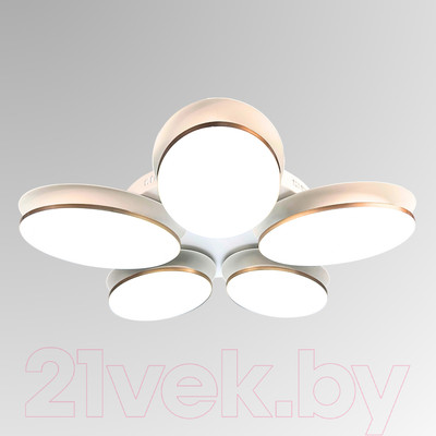 Люстра Aitin-Pro MD8025/5B