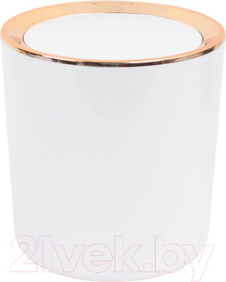 Контейнер для мусора Darvish DV-H-1843-3 (белый)