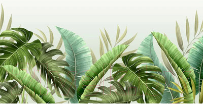 Фотообои листовые Citydecor Цветы и растения 129 (500x260см)