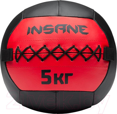 Медицинбол Insane IN24-WB100 (5кг, красный)