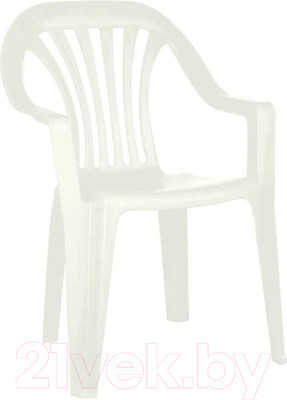 Стул детский Пластишка 431207016  (белый)