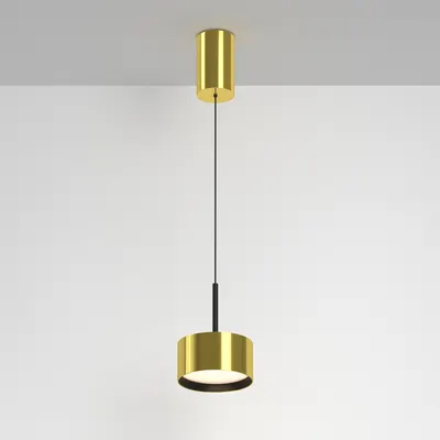 Потолочный светильник Maytoni Pendant P102PL-12W3K-BS