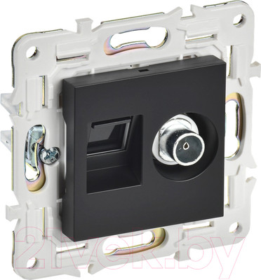 Розетка IEK Skandy SK-AK20-2-K02 (черный)