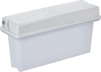 Светильник аварийный IEK LSSA1-1010-3-65-K01