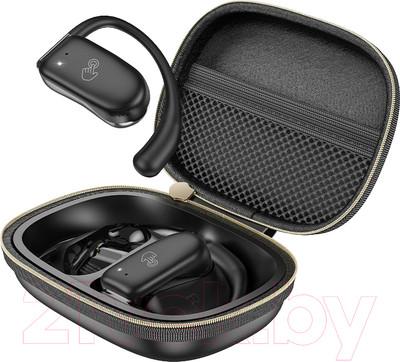 Беспроводные наушники Hoco EA2 TWS (черный)