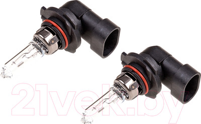 Комплект автомобильных ламп Skyway S09102018 (2шт)