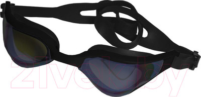 Очки для плавания Atemi Phantom Rider / TPR1BK (черный)