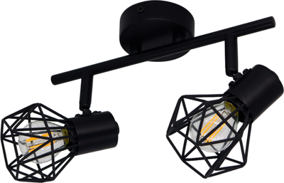 Спот Truenergy 21336