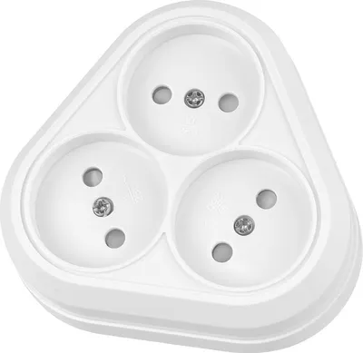 Розетка TDM Ладога SQ1801-0137 (белый)