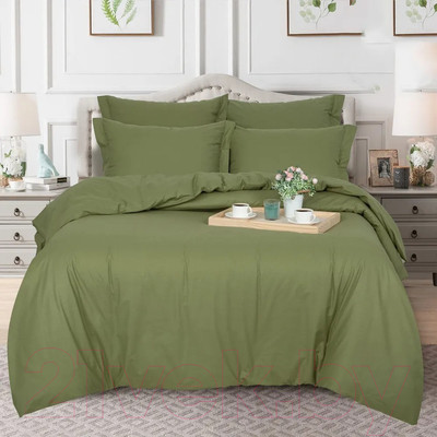 Пододеяльник АртПостель Олива на молнии 975 (215x145)