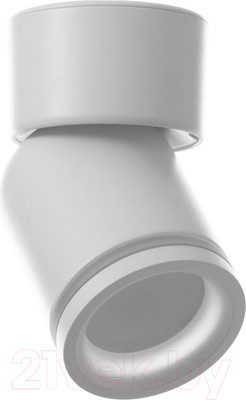 Потолочный светильник BayerLux Босни / 9909630 (белый)