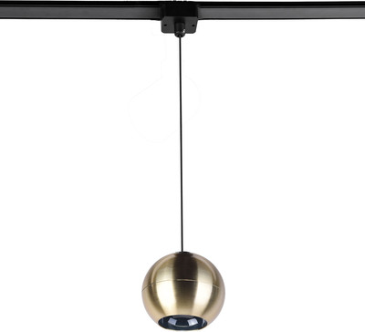 Трековый светильник FAVOURITE 4229-1P