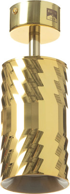 Спот BayerLux Алисер / 9909600 (золото)