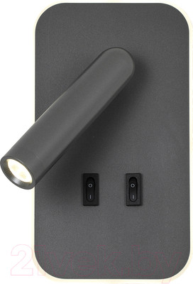 Спот FAVOURITE 4499-2W