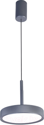 Потолочный светильник FAVOURITE 4508-1P