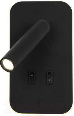 Спот FAVOURITE 4497-2W