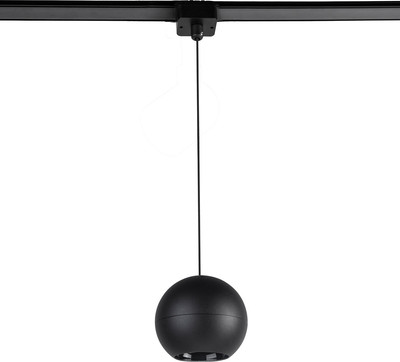 Трековый светильник FAVOURITE 4227-1P