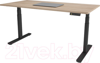 Стол с подъемным механизмом WellDesk WDЕ Flagman 139.5x80x2.8 (черный/ясень шимо)