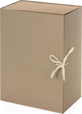 Коробка архивная Staff 111957