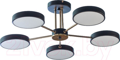 Люстра Aitin-Pro X9726/5 (черный)