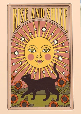 Картина по номерам Red Panda Вставай и сияй p56182