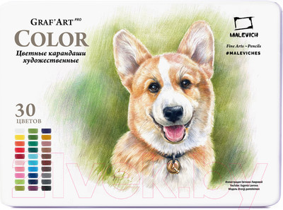 Набор цветных карандашей Малевичъ GrafArt Pro / 194901 (30цв)