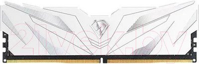 Оперативная память DDR5 Netac NTSWD5P48SP-08W