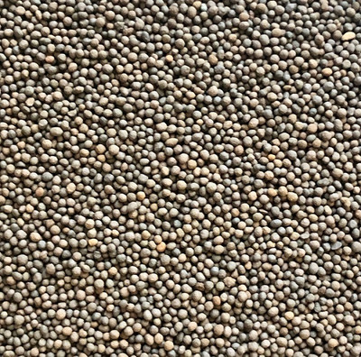 Грунт для аквариума Gloxy Голландия GL-081444 (5кг)