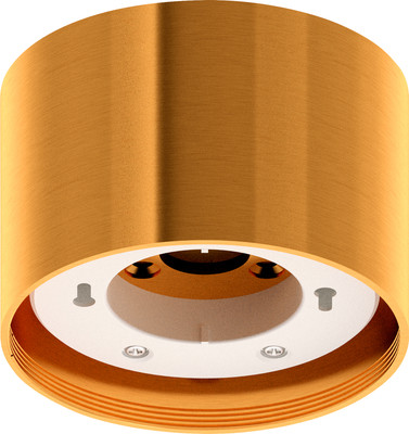 Потолочная база для светильника Ambrella C8121 PYG (желтое золото)