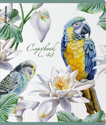 Тетрадь Erich Krause Тропические птицы / 60611 (48л, клетка)
