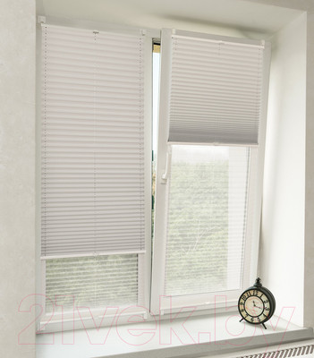 Штора-плиссе Delfa Basic Blo СПШ-37102/3504 Plain Transparent (48x160, белый/белый)