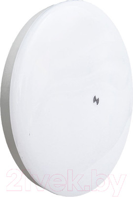 Светильник ЖКХ КС СВН-LED PWS-P / PWSPG710