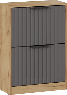 Тумба для обуви ТриЯ Хилтон Исп.2 (дуб крафт золотой/графит матовый)