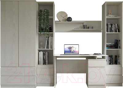 Комплект мебели для учебы Евва Турин №1 (ясень снежный)