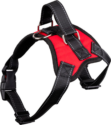 Шлея Рыжий кот 108065 (42-53см)