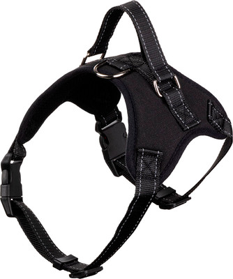 Шлея Рыжий кот 108066 (52-63см)