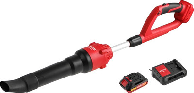 Воздуходувка аккумуляторная Wortex BB 2018-1 D ALL1 с акб и з/у / 1334646