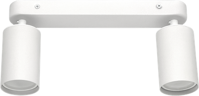 Спот Truenergy 21361