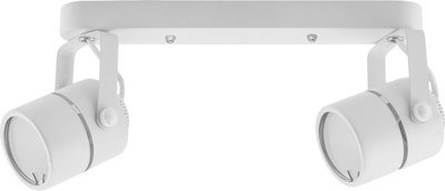 Спот Truenergy 21354