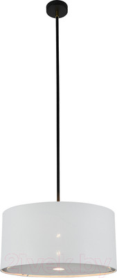 Потолочный светильник ESCADA 10186/1S (черный)