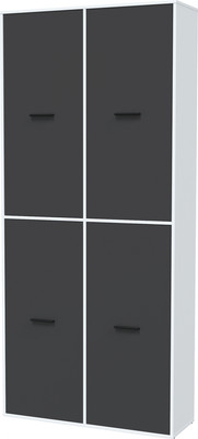Шкаф Интерлиния Skill-20 (4) (белый платинум/антрацит)