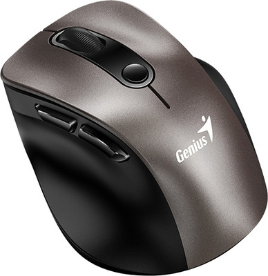 Мышь Genius Ergo 9000S (коричневый)