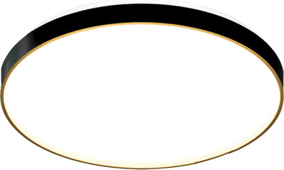 Потолочный светильник Aitin-Pro HY61079 2x60Вт (черный/золото)