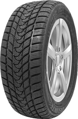 Зимняя шина Delinte Winter WD1 165/70R14 81T