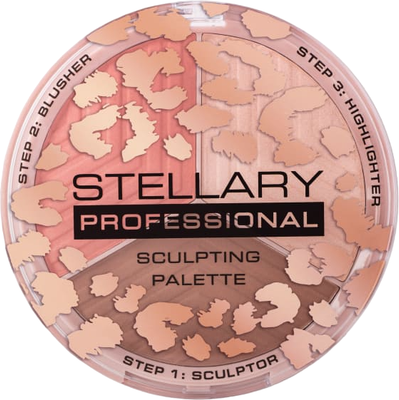 Палетка для скульптурирования Stellary Face sculptor тон 01