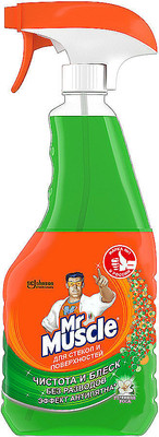 Средство для мытья стекол Mr. Muscle С курком SCJ-103580 (530мл)